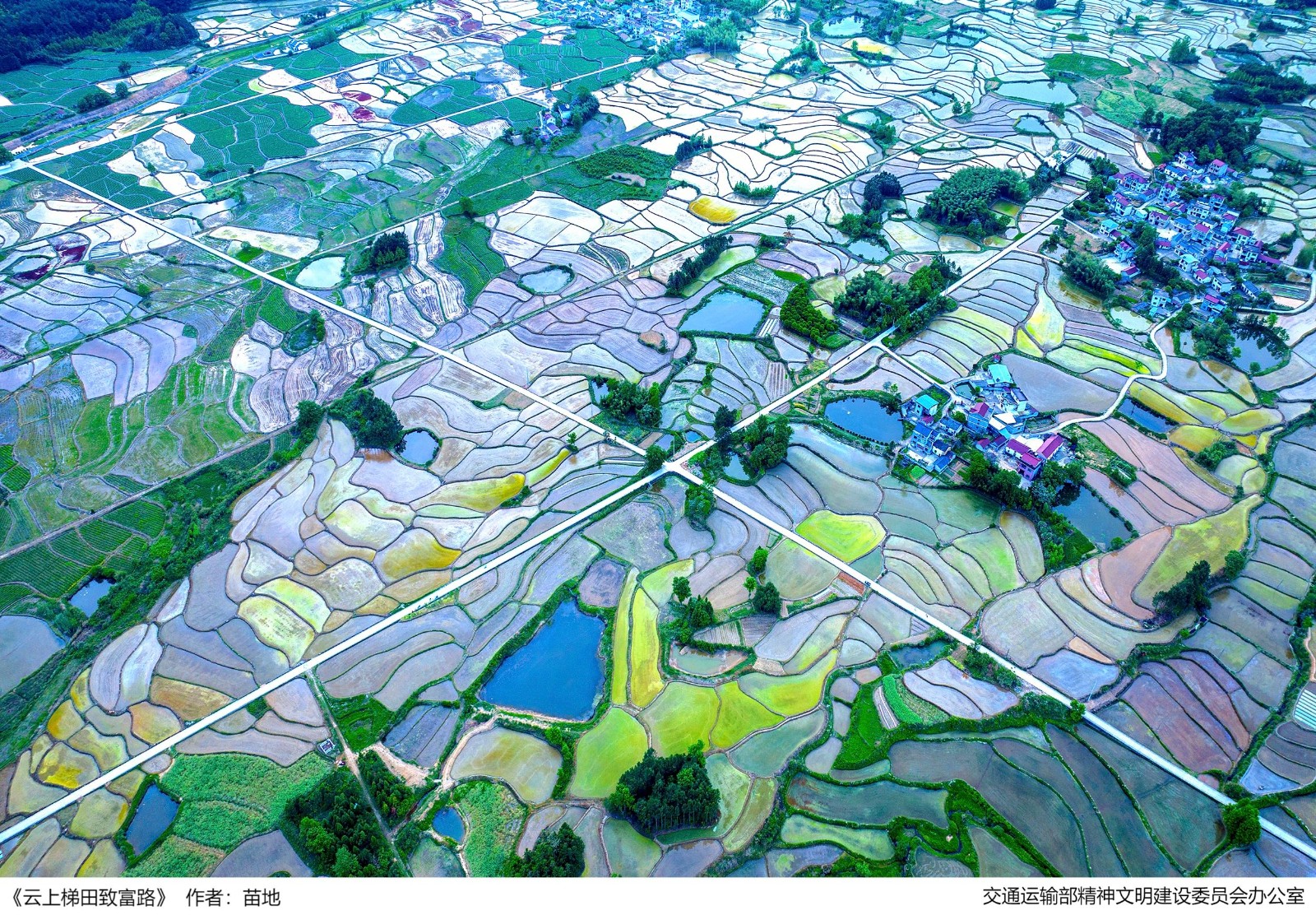 6、《云上梯田致富路》苗地——安徽省公路管理服務(wù)中心.jpg
