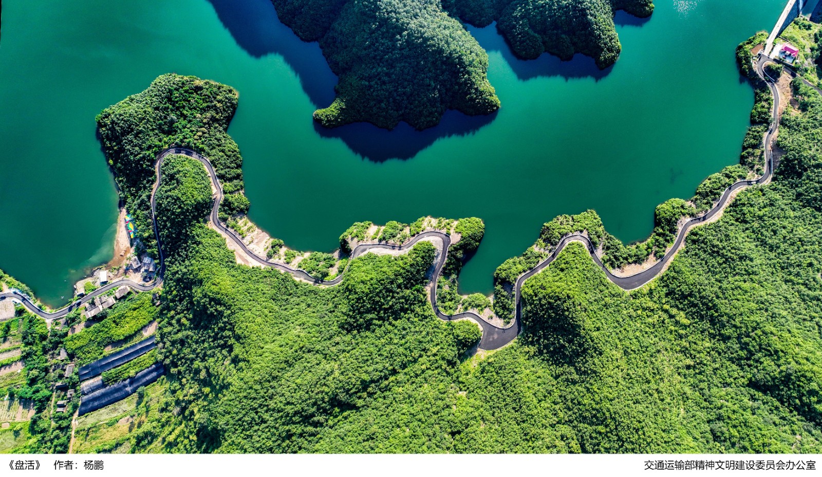 10、《盤活》楊鵬——河南省洛陽市交通事業(yè)發(fā)展中心.jpg